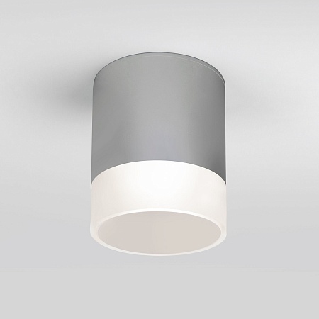 Уличный потолочный светильник Light LED 2107 IP54 35140/H серый Elektrostandard - фото