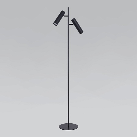 Напольный светильник Eurosvet 01087/2 черный - фото