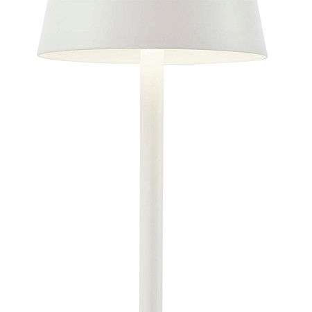 Настольная лампа F-Promo 4614-1T - фото