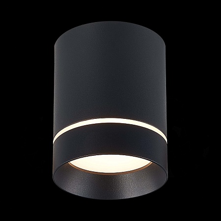 Светильник потолочный Черный LED 1*12W 3000K 840Lm Ra>90 120° IP20 D79xH100 170-240V ST115.432.12 - фото