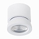 Светильник потолочный Белый LED 1*10W 3000K 850Lm Ra>90 38° IP20 D95xH96 180-240V ST654.532.10 - фото