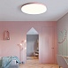 Потолочный Светильник Disc Half D38 Pink Imperiumloft 193126-26 - фото