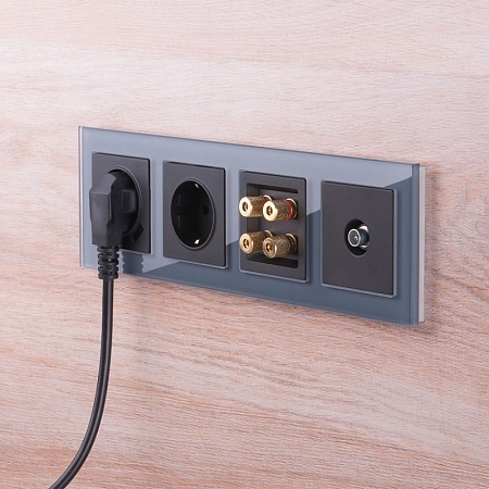 Акустическая розетка (черный матовый) W1185008 - фото