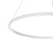 Подвесной светильник Maytoni Rim MOD058PL-L54W4K - фото