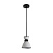 Подвесной светильник Freya FR5503PL-01B1 - фото