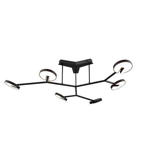 Потолочная люстра Favourite 4401-6C - фото