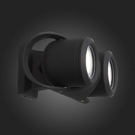 Светильник уличный настенный ST-Luce Черный/Черный, Прозрачный G5,3 2*3W SL093.401.02 - фото