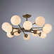 Потолочная люстра ARTE LAMP A2703PL-12SG - фото