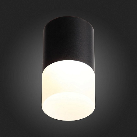 Светильник потолочный Черный LED 1*10W 3000K 780Lm Ra>80 120° D78xH135 170-240VV ST100.402.10 - фото