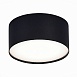 Светильник потолочный Черный LED 1*12W 4000K 1 080Lm Ra>90 120° IP20 D120xH55 185-265V ST606.442.12 - фото