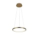 10014S Подвесной светильник LOFT IT Ring - фото