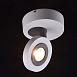 Спот MW-Light Астор 545020801 - фото