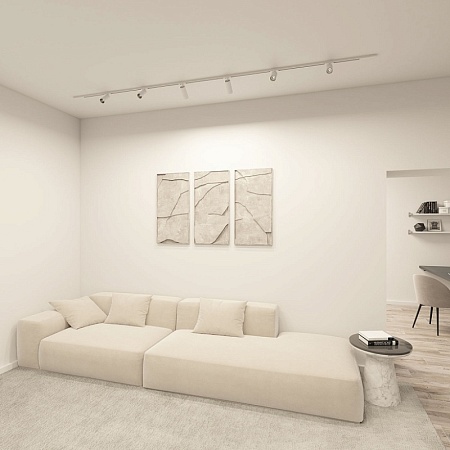 Светильник на шине Denkirs Scope DK6060-BW+BK - фото