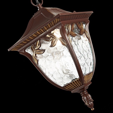 Светильник уличный подвесной ST-Luce Кофейный/Кофейный, Прозрачный E27 1*60W SL083.703.01 - фото