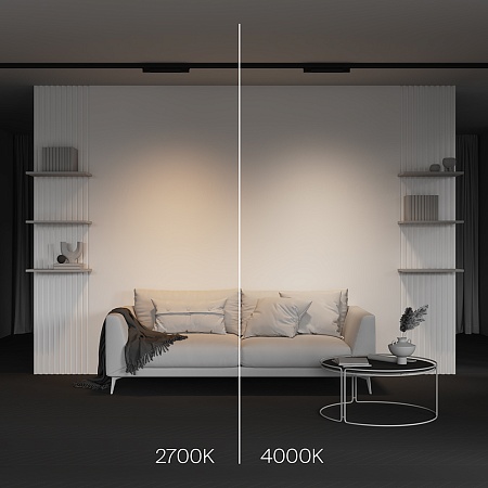 Трековый светильник Technical BASIS TR196-3-10W2.7K-B - фото