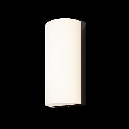 Настенный светильник (бра) Outdoor Badd O454WL-L10GF3K1 - фото