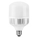 Лампа светодиодная Feron LB-65 E27-E40 30W 175-265V 4000K - фото