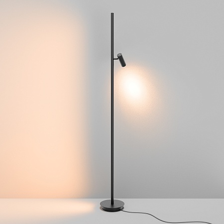 Напольный светильник (торшер) Maytoni Thin MOD395FL-L28B3K - фото
