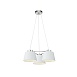 Подвесной светильник Freya Barbara FR5004PL-03CH - фото
