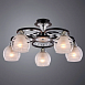 Потолочная люстра ARTE LAMP A1604PL-5BK - фото