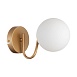 Светильник настенный Золотистый/Белый E14 1*40W SLE220601-01 - фото