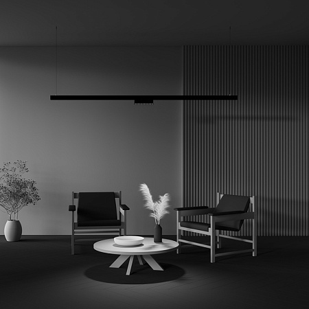 Трековый светильник Technical Points rot TR033-2-12W2.7K-B - фото