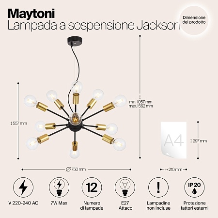 Подвесной светильник Maytoni Jackson T546PL-12B - фото