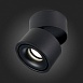 Светильник потолочный Черный LED 1*12W 3000K 1 000Lm Ra>90 36° IP20 D100xH105 170-240VV ST652.432.12 - фото