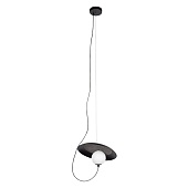 10237P Black Подвесной светильник LOFT IT Wonders
