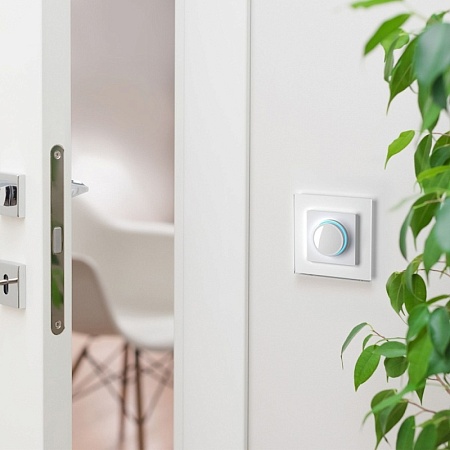 Диммер с подсветкой (белый) W1142101 - фото