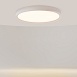 Потолочный светильник Maytoni MOD426CL-L43WK - фото