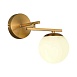 Светильник настенный Латунь/Белый E14 1*40W SLE1195-301-01 - фото
