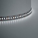Светодиодная LED лента Feron LS616, 180SMD(2835)/m 17W/m 12V 5m 6500К - фото