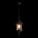 100021P Уличный подвесной светильник LOFT IT Prato - фото