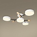 Потолочный светильник Freya FR6119CL-L48W - фото