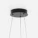 Подвесной светильник Maytoni Rim MOD058PL-L65BK - фото