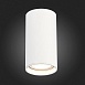 Светильник потолочный Белый LED 1*15W 4000K 1 200Lm Ra>90 60° IP44 D75xH140 220-265V ST157.542.15 - фото
