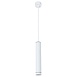 Точечный подвесной светильник Arte Lamp ALTAIS A6110SP-2WH - фото