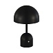 Прикроватная лампа Черный/Черный LED 1*3W 3000-6000K SLE1806-404-01 - фото