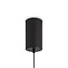Подвесной светильник Freya Acoustic FR5494PL-L9GR - фото