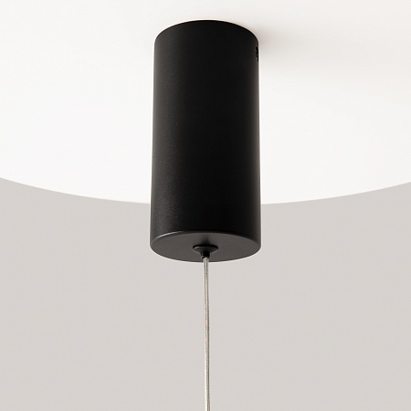 Подвесной светильник Maytoni Pro Shade MOD157PL-L6BK - фото