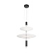 10244/B Black Подвесной светильник LOFT IT Skylar - фото