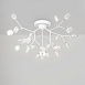 Потолочный светильник Freya Florencia FR5049CL-27W1 - фото