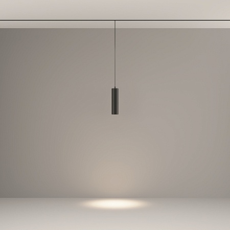 Трековый светильник Technical FOCUS LED TR041-2-12W4K-B - фото