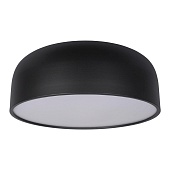 10201/480 Black Потолочный светильник LOFT IT Axel