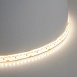 Светодиодная LED лента Feron LS512, 180SMD(2835)/м 16Вт/м 24V 5000*10*2.3мм 4000К IP65 - фото