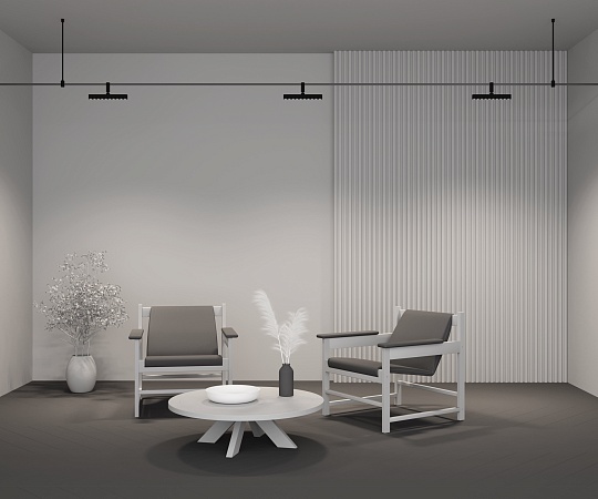 Трековый светильник Technical TR203-1-10W3K-S-B - фото