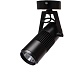 Спот Arte Lamp LINEA A6520AP-1BK - фото