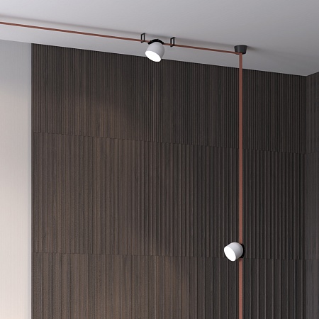 Светильник на шине Denkirs BELTY SPOT DK5542-WH+BK - фото