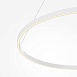 Подвесной светильник Maytoni Rim MOD058PL-L54WK - фото